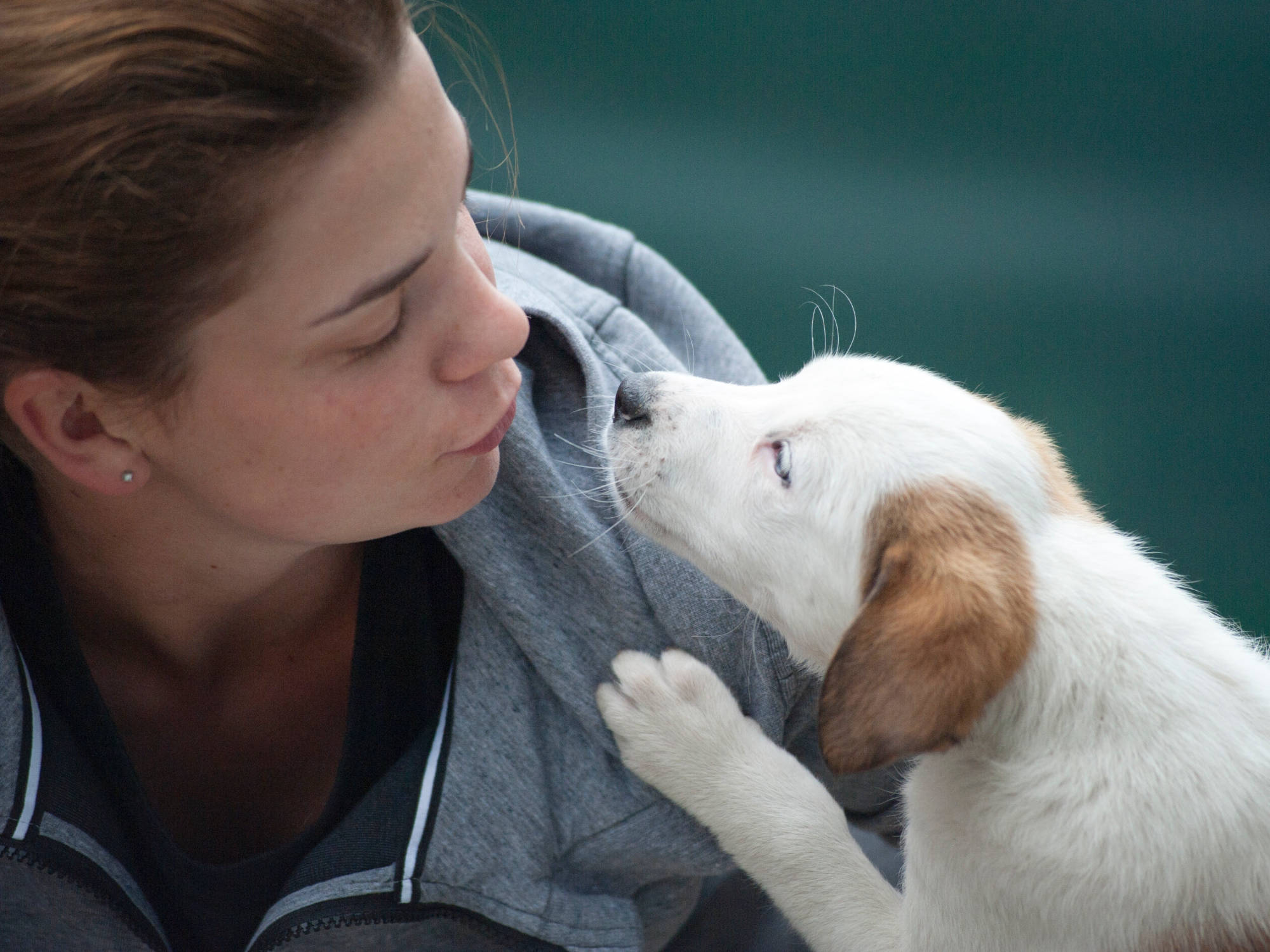 Frau küsst weiß-braunen Hundewelpen