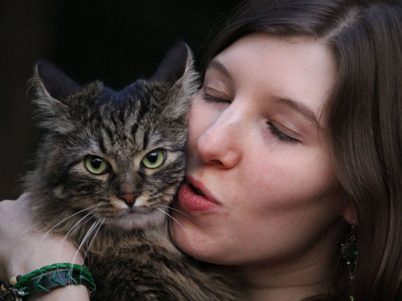 Frau küsst Tiger Katze in den Armen